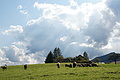 DSC00416 - Bernhard Saalfeld