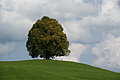 DSC00420 - Bernhard Saalfeld