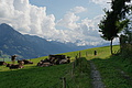DSC00422 - Bernhard Saalfeld