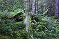 DSC00427 - Bernhard Saalfeld