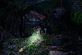 DSC00433 - Bernhard Saalfeld