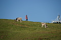 DSC00438 - Bernhard Saalfeld