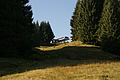 DSC00439 - Bernhard Saalfeld