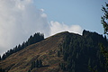 DSC00444 - Bernhard Saalfeld