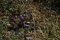 DSC00478 - Bernhard Saalfeld