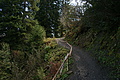 DSC00482 - Bernhard Saalfeld