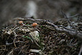 DSC00484 - Bernhard Saalfeld