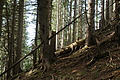 DSC00497 - Bernhard Saalfeld