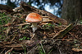 DSC00500 - Bernhard Saalfeld