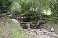 DSC00509 - Bernhard Saalfeld