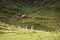 DSC00511 - Bernhard Saalfeld