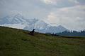 DSC00515 - Bernhard Saalfeld