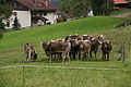 DSC00519 - Bernhard Saalfeld