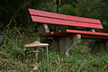 DSC00525 - Bernhard Saalfeld