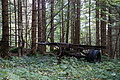 DSC00526 - Bernhard Saalfeld