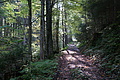 DSC00527 - Bernhard Saalfeld