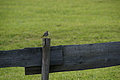 DSC00533 - Bernhard Saalfeld