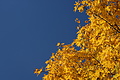 DSC00534 - Bernhard Saalfeld