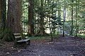 DSC00535 - Bernhard Saalfeld
