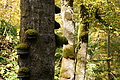 DSC00544 - Bernhard Saalfeld
