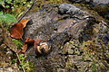 DSC00545 - Bernhard Saalfeld