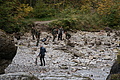 DSC00560 - Bernhard Saalfeld