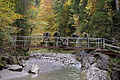 DSC00564 - Bernhard Saalfeld
