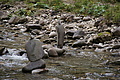 DSC00565 - Bernhard Saalfeld