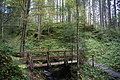 DSC00571 - Bernhard Saalfeld