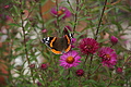 DSC00579 - Bernhard Saalfeld