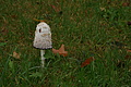 DSC00624 - Bernhard Saalfeld