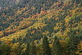 DSC00635 - Bernhard Saalfeld