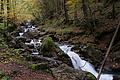 DSC00637 - Bernhard Saalfeld
