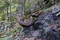 DSC00654 - Bernhard Saalfeld