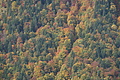 DSC00655 - Bernhard Saalfeld
