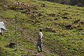 DSC00672 - Bernhard Saalfeld