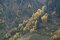 DSC00675 - Bernhard Saalfeld