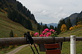 DSC00676 - Bernhard Saalfeld