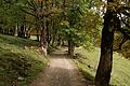 DSC00682 - Bernhard Saalfeld