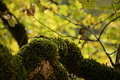 DSC00683 - Bernhard Saalfeld