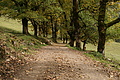 DSC00685 - Bernhard Saalfeld