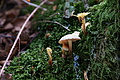 DSC00698 - Bernhard Saalfeld