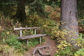 DSC00747 - Bernhard Saalfeld