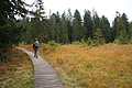 DSC00748 - Bernhard Saalfeld