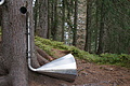 DSC00749 - Bernhard Saalfeld