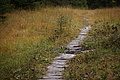 DSC00750 - Bernhard Saalfeld
