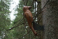 DSC00752 - Bernhard Saalfeld