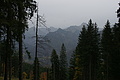 DSC00754 - Bernhard Saalfeld
