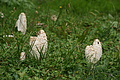 DSC00768 - Bernhard Saalfeld
