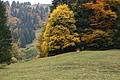 DSC00769 - Bernhard Saalfeld